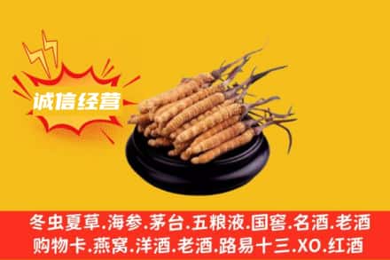 白城市洮南回收冬虫夏草